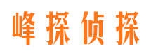 内乡出轨调查